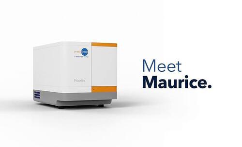 Maurice